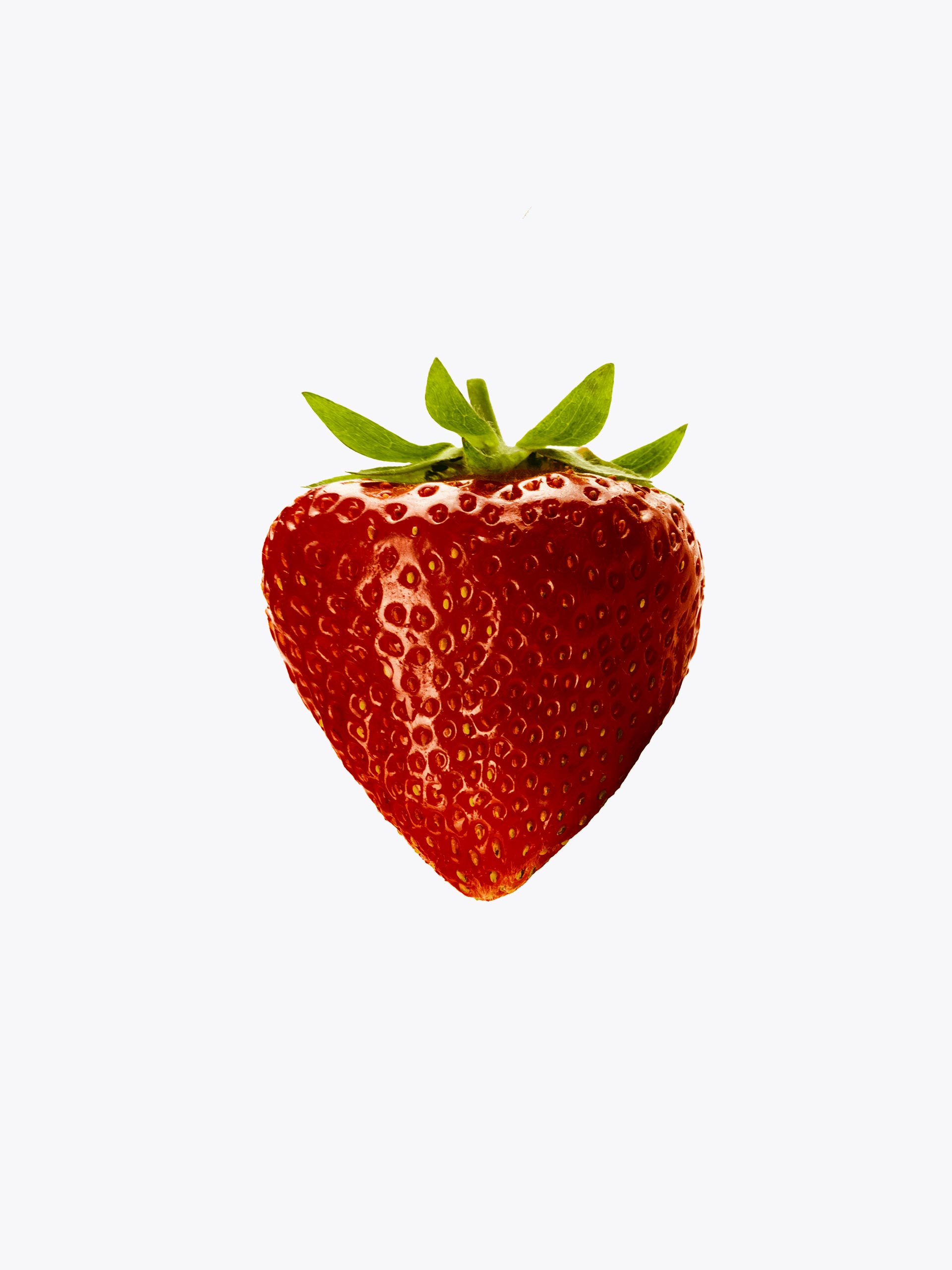 alt-tag placeholder